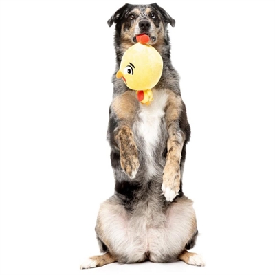 FuzzYard Toy Noggins Mød Hønsefar Hen Diesel Limited Edition